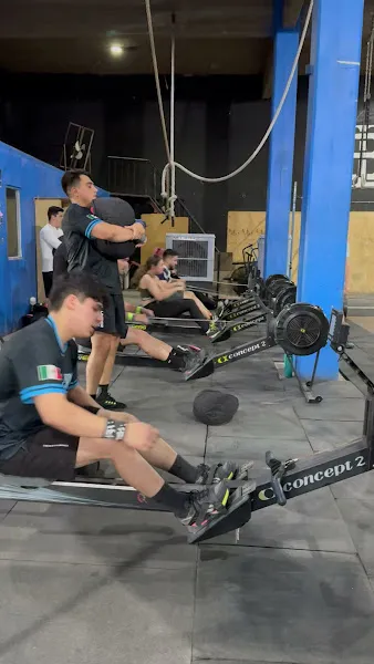 Blue Lions CrossTraining