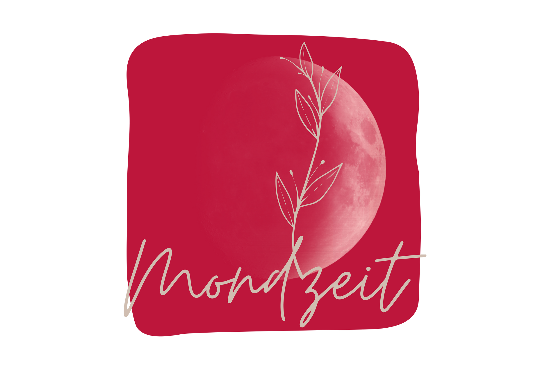Mondzeit-Studio