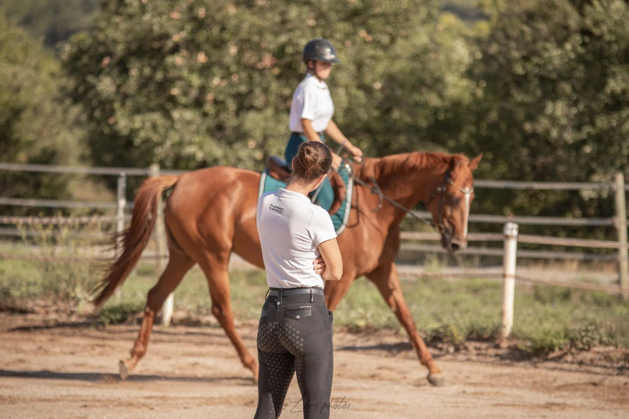 LLC DRESSAGE