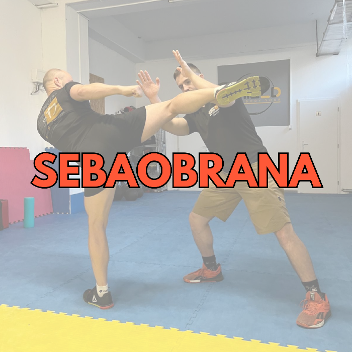 Centrum sebaobrany SHIELD