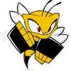 Academia Killer Bees Matriz - Bacacheri