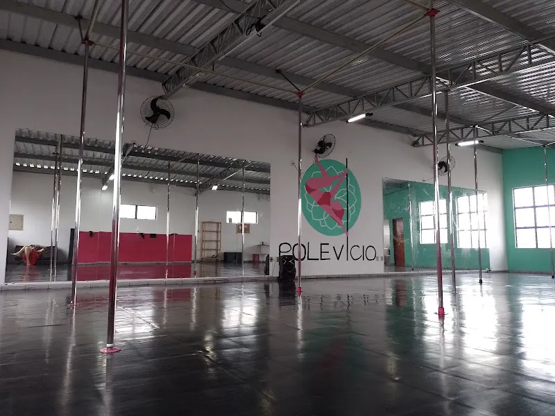 Pole Vicio Pole Dance & Fitness Studio