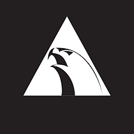 Alliance Jiu Jitsu - Freguesia do Ó