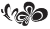 IMAGO Tanzstudio