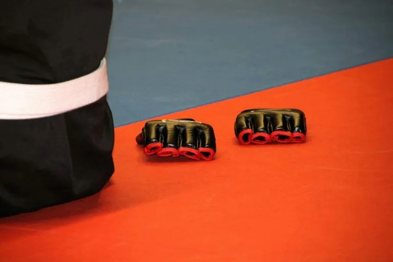 Bushido Nieuwegein