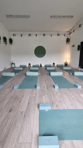 Roots Wellness