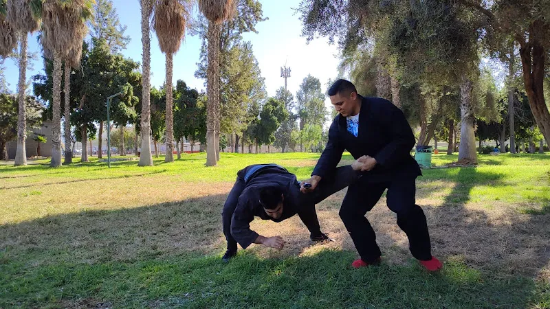 Bujinkan Ninjutsu - Tijuana Dojo