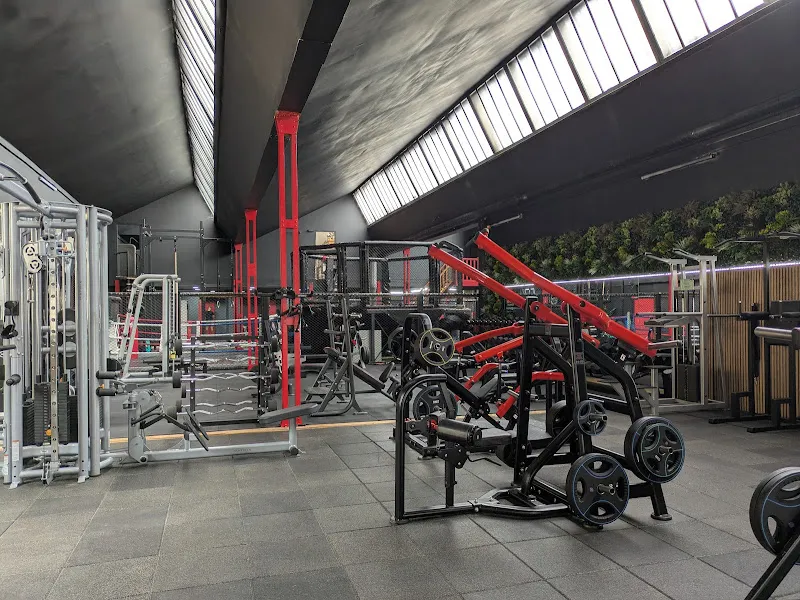 All in fitness