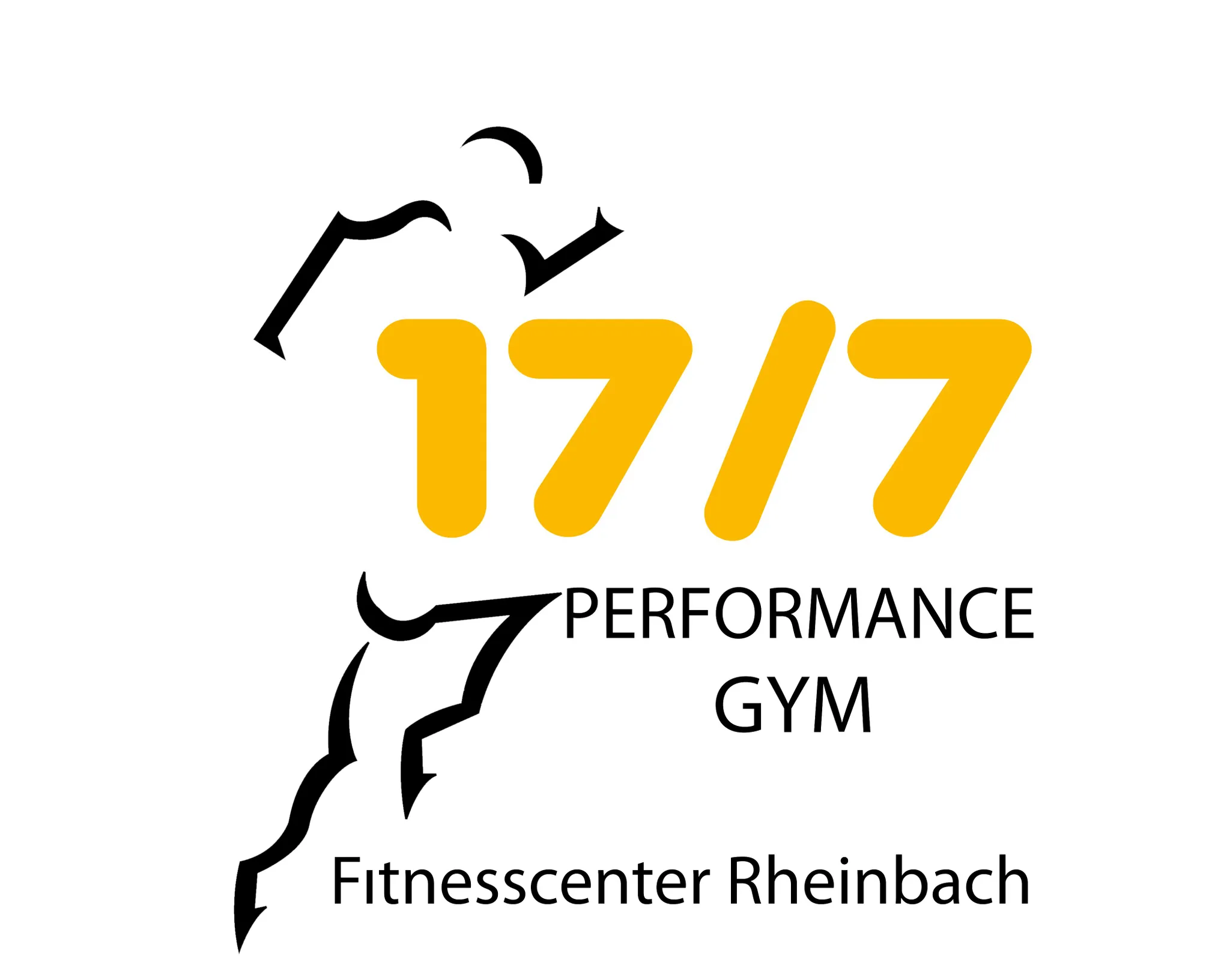 17/7 Performance Gym - Rheinbach