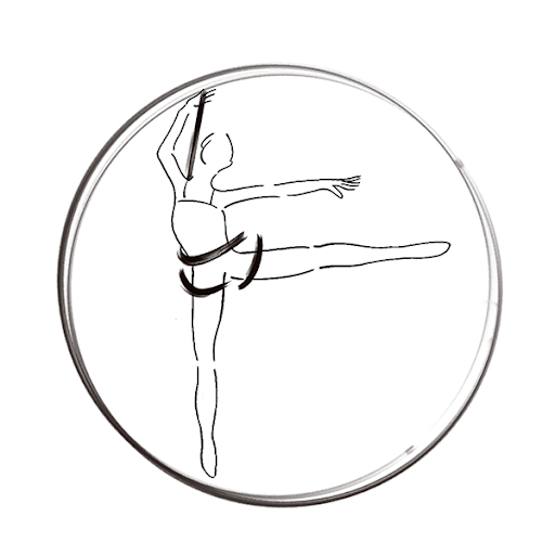 FITFLY Bungee Fitness
