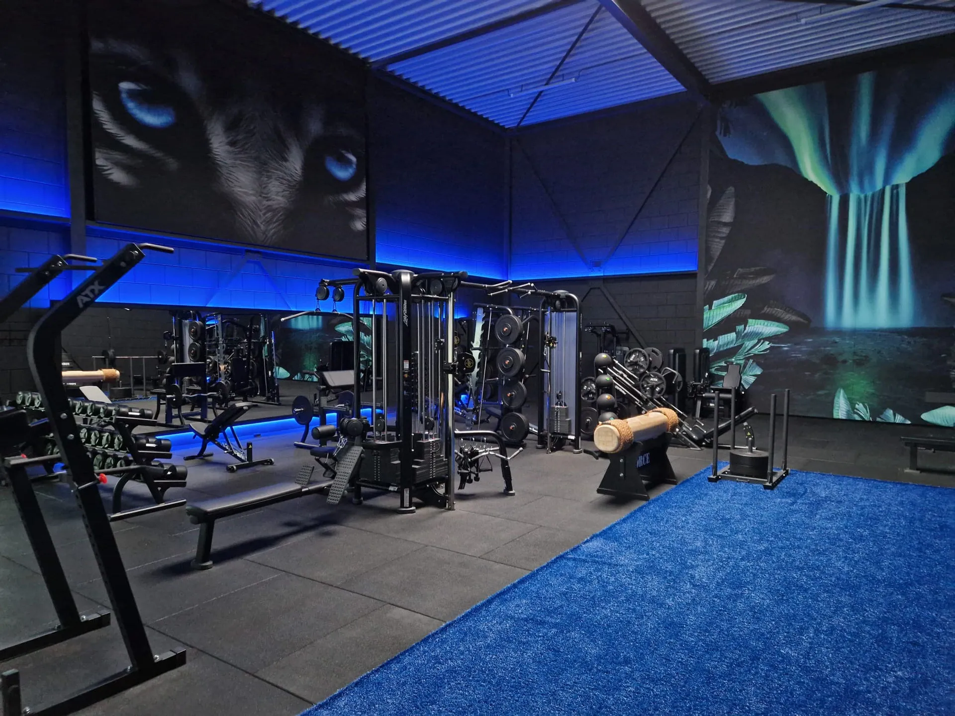 FORCE PRIVATE GYM