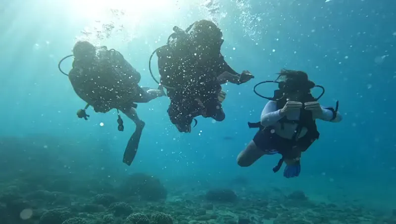 Venta Dive Center
