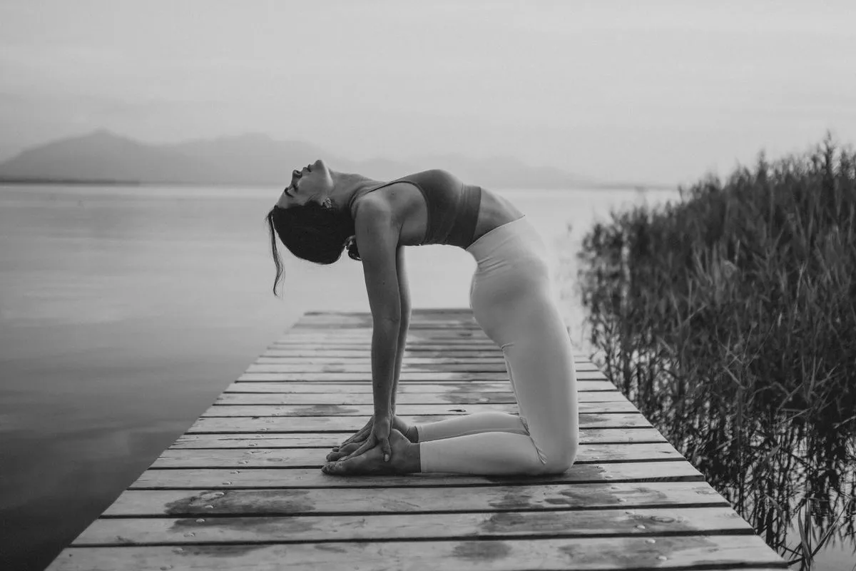 the yogi's vitamin - Anna Sophie Kreisel