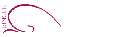 Pilates Studio