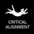 Critical Alignment Yoga & Therapy