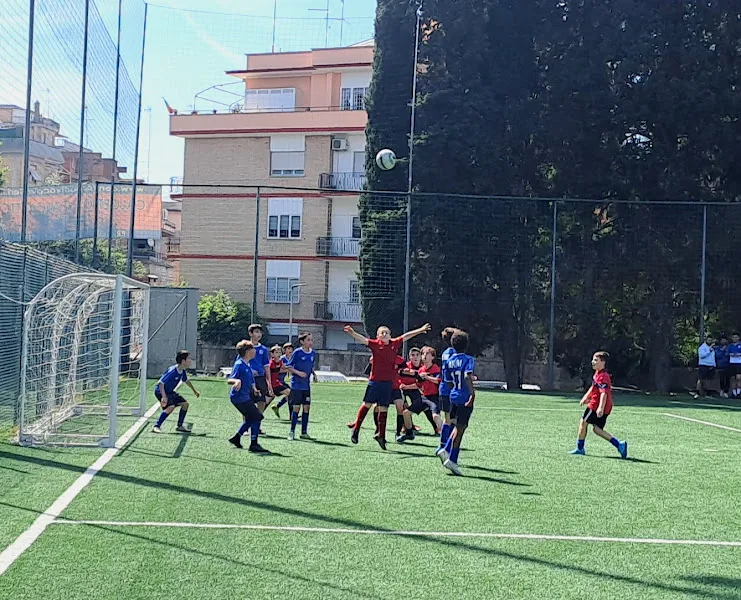 Svs Roma
