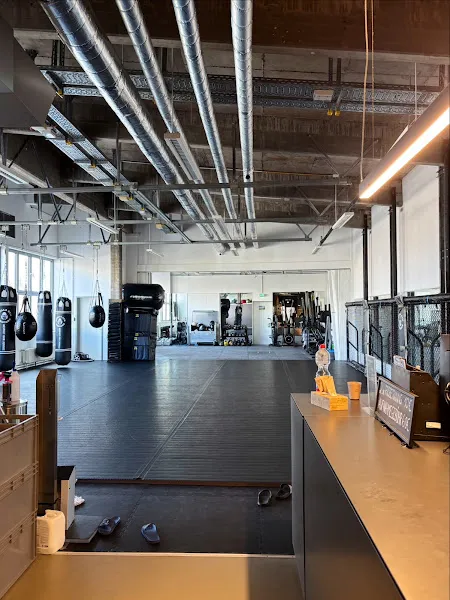 GORILLA GYM HAMBURG - Schule für Kampfsport - Kung Fu, Thaiboxen, Grappling, MMA, AY10-Yoga