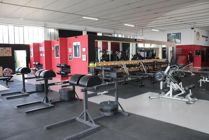 Montecchio Sport