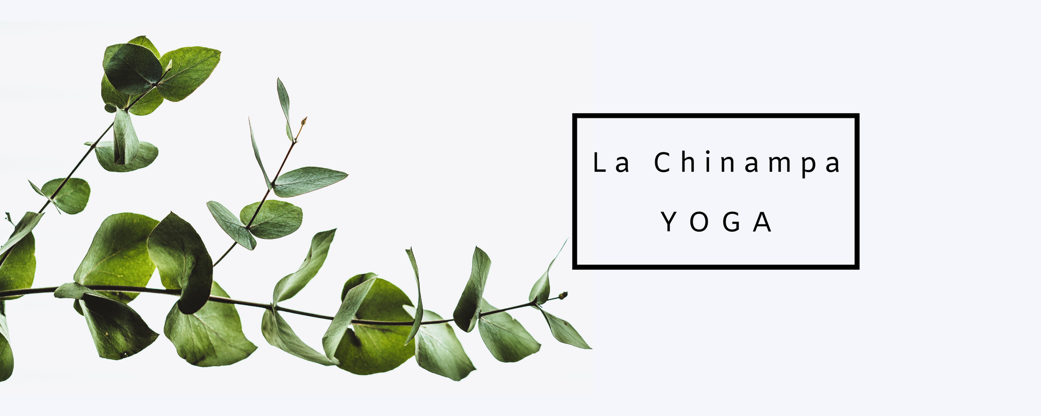 La Chinampa Yoga