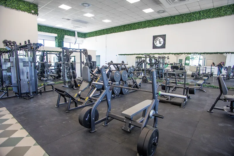 Nutragym wellness