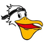Selbstsicherheits-Schule Pelikan Herford