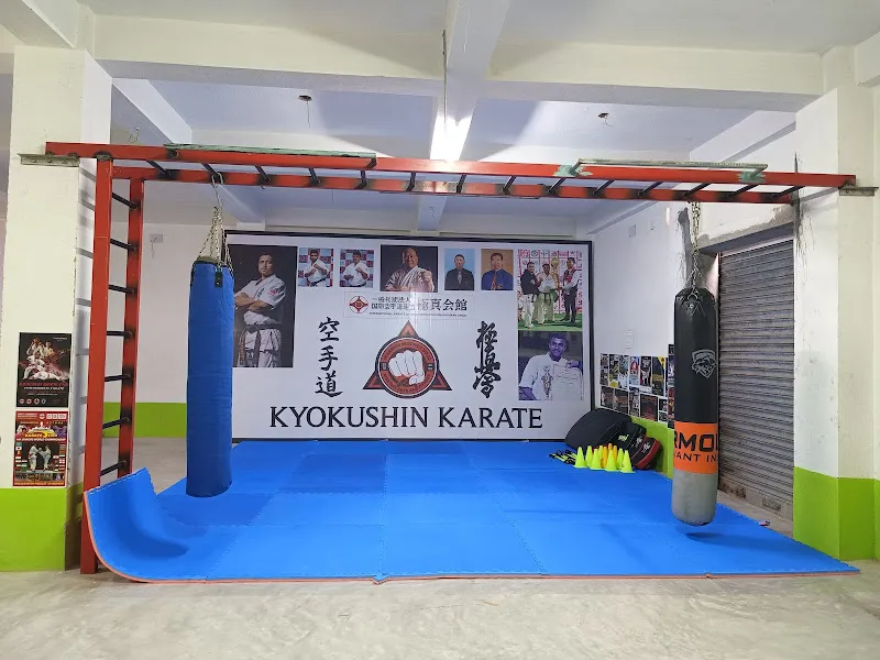 Warrior instinct karate academy