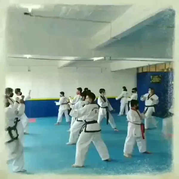 Moo Duk Kwan Cuautitlán Mx