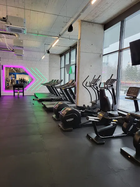 XXS GYM 29 Listopada 39F