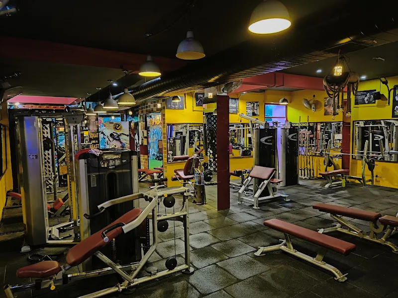 The Pumping Iron