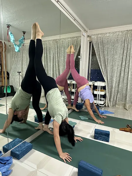 WYN Yoga