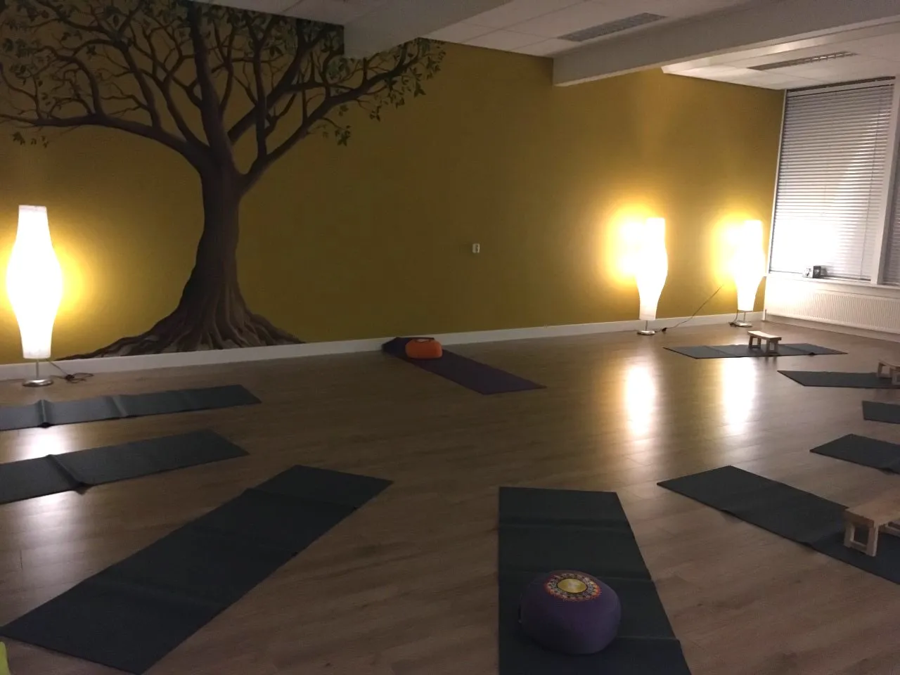 HormoonYoga voor vrouwen