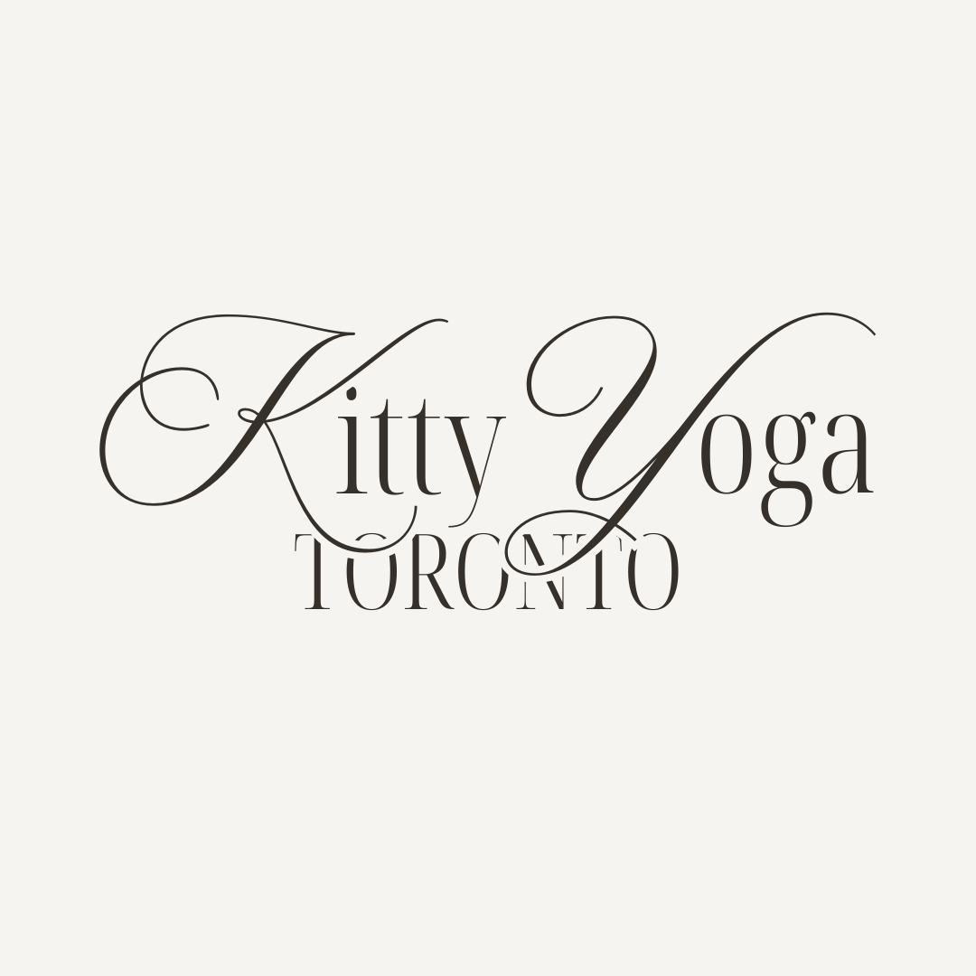 Kitty Yoga Toronto