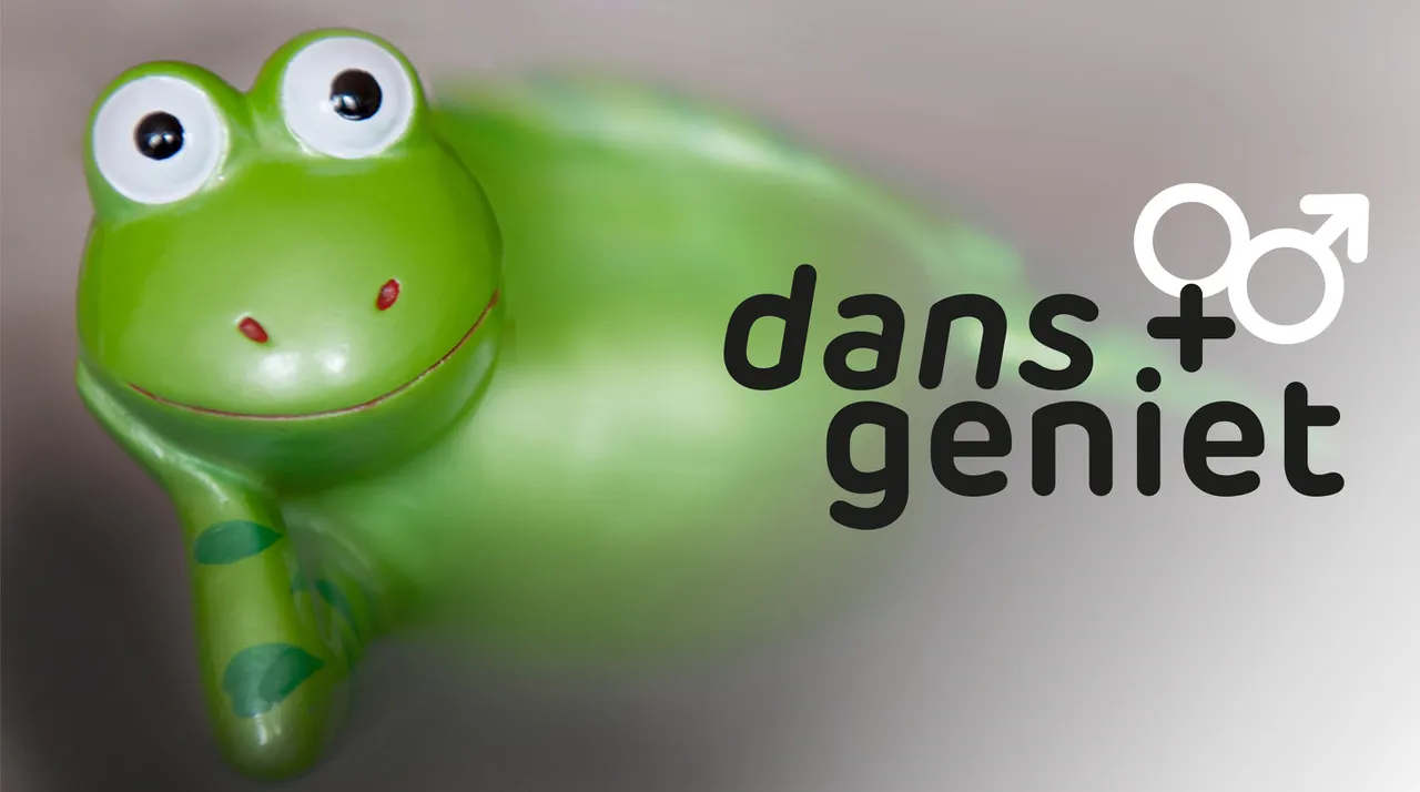 Dans en Geniet