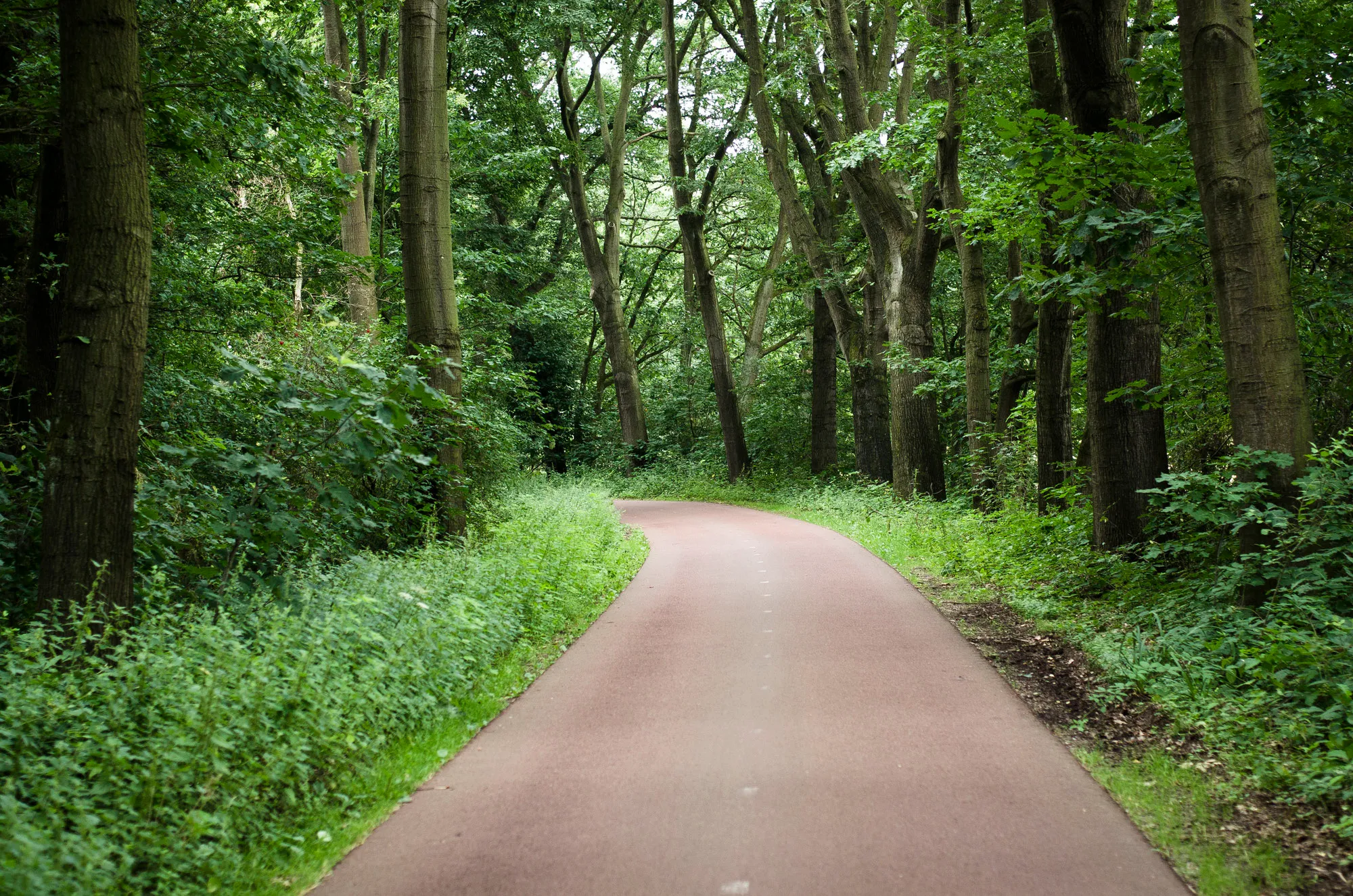 Yoga Bewust Zijn Venray