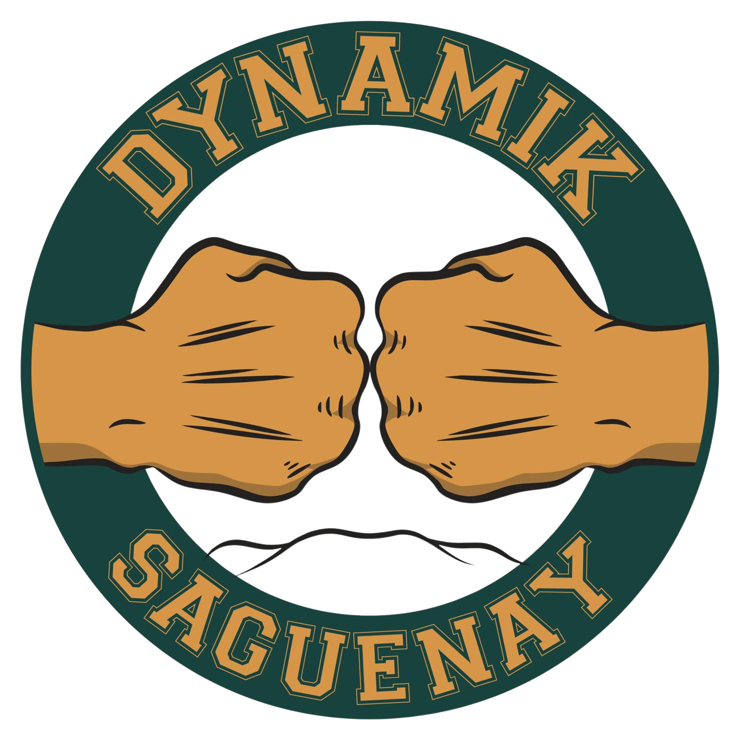 Dynamik Saguenay