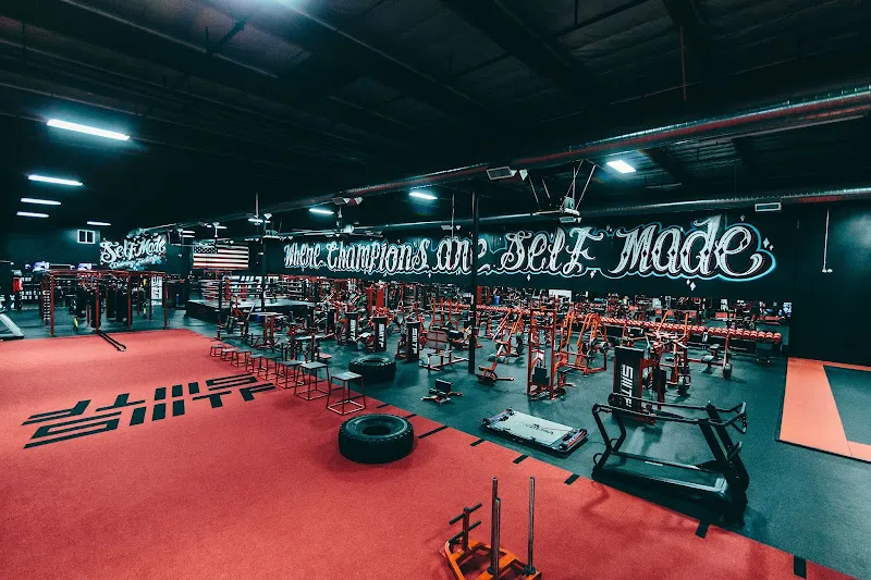 Manifest Fitness Institute
