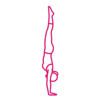 Circo Elastico