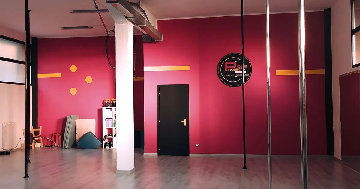 Pole Project - Aerial Arts Studio ASD