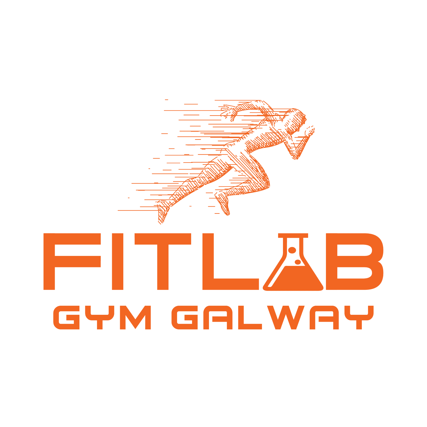 FitLab Gym Galway | Athletic Training & Personal Training