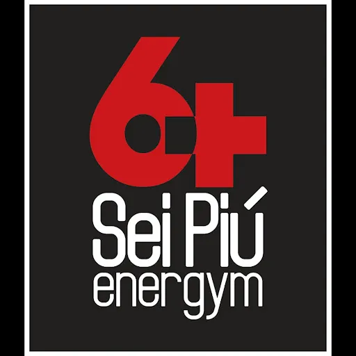 6+ Energym