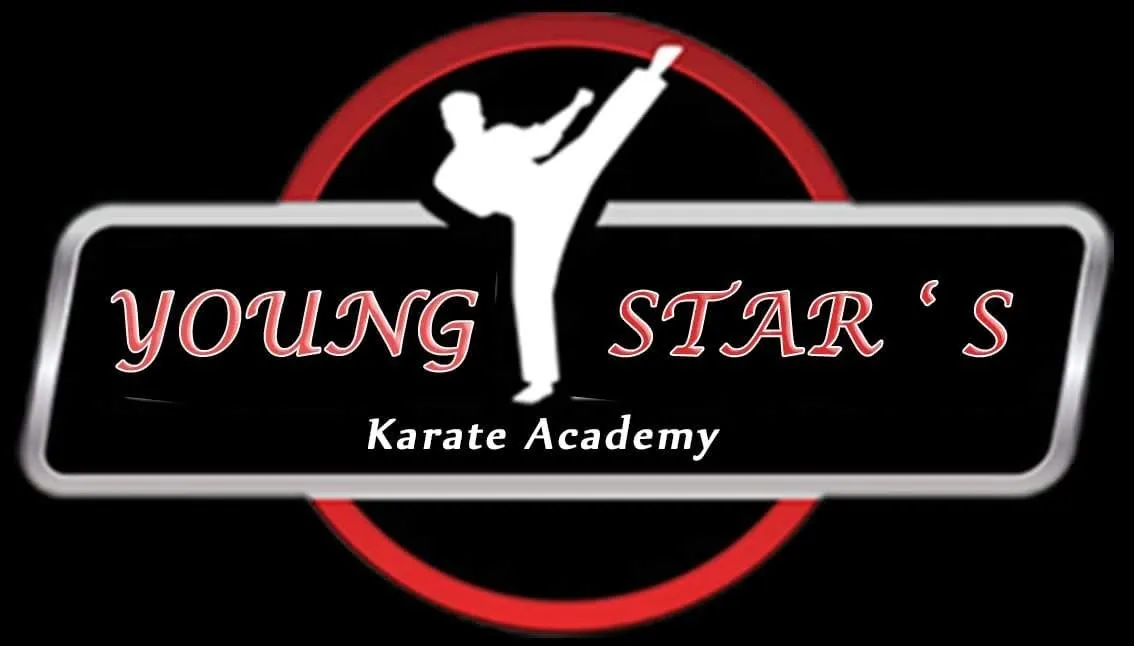young stars karate academy