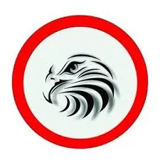 Eagle Fighting Center - Centro de Lutas Águia