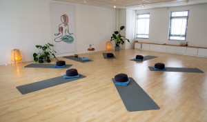 Hatha Yoga