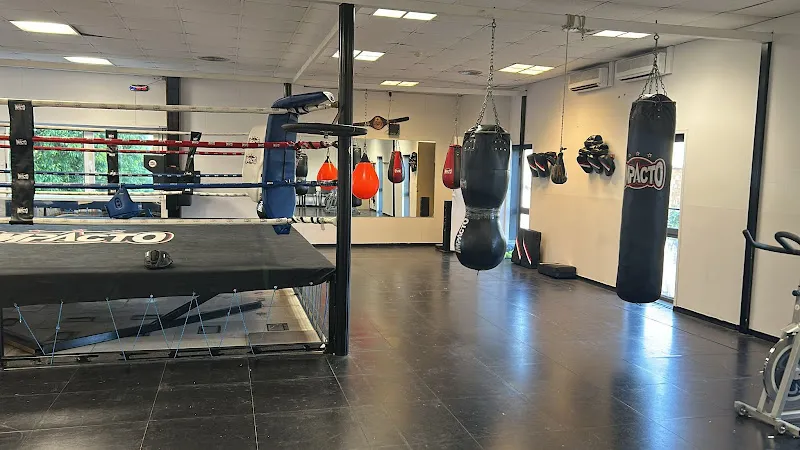 LION FIGHTERS MMA - Artes Marciales Mixtas, Boxeo, Kick boxing, Grappling, Defensa personal.