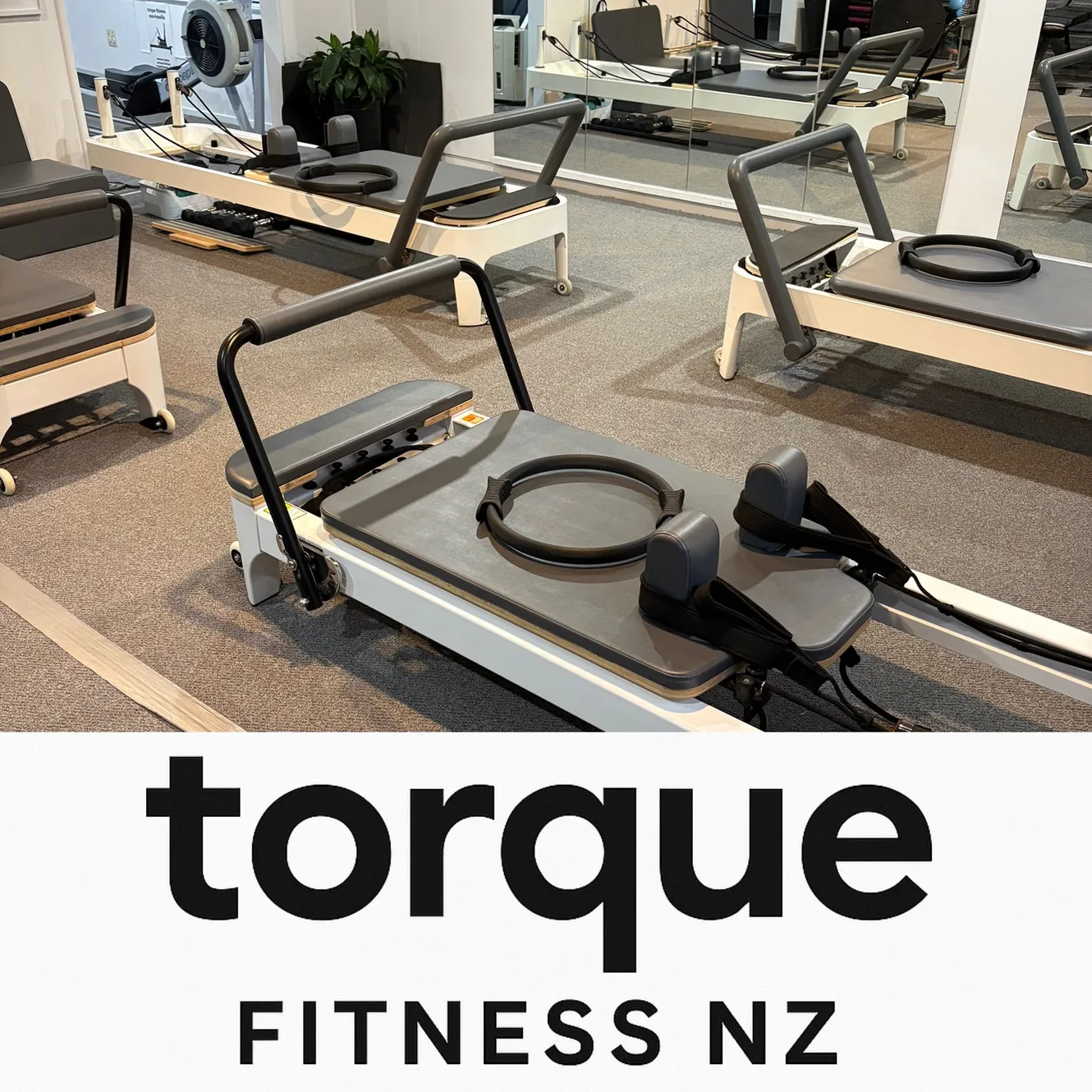 torque fitness new zealand