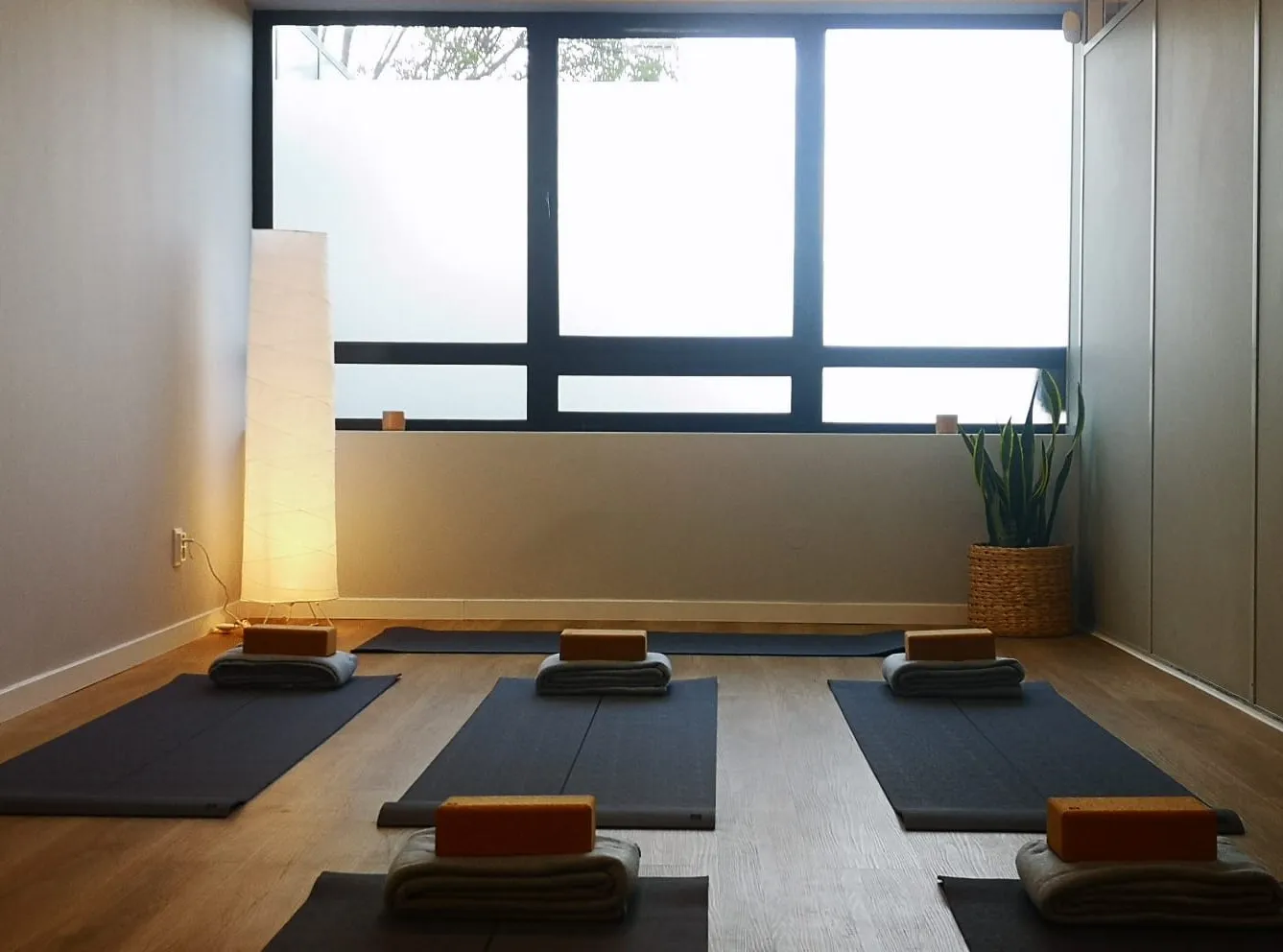 Zhi Studio Yoga e Pilates na Maia