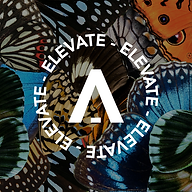 Elevate Fitness Studio
