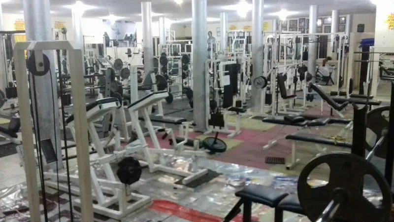 Mongo GYM