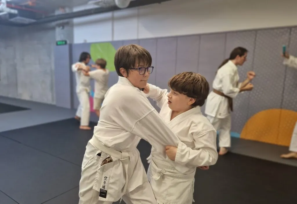 Kitsune Dojo