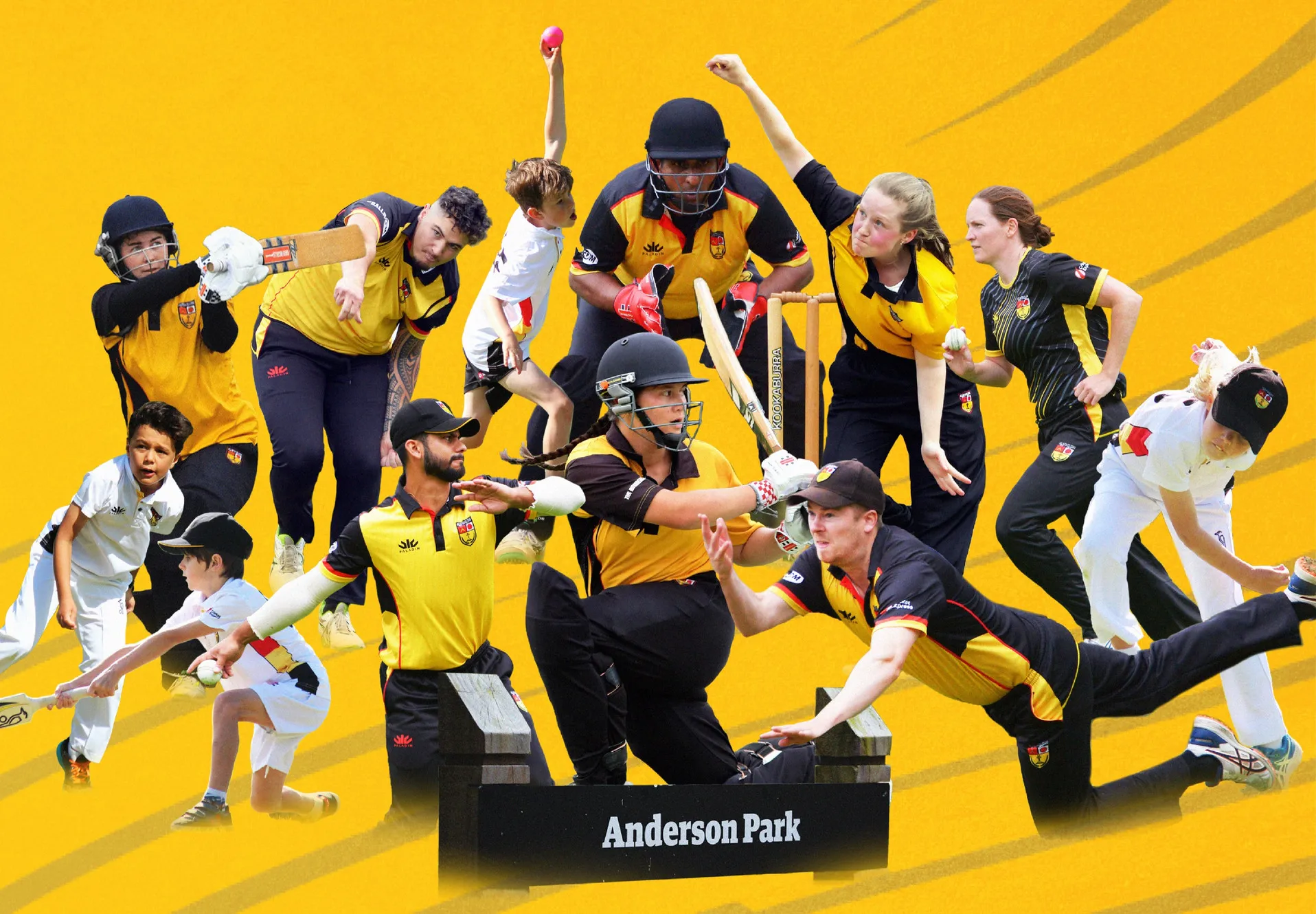 Wellington Collegians Cricket Club